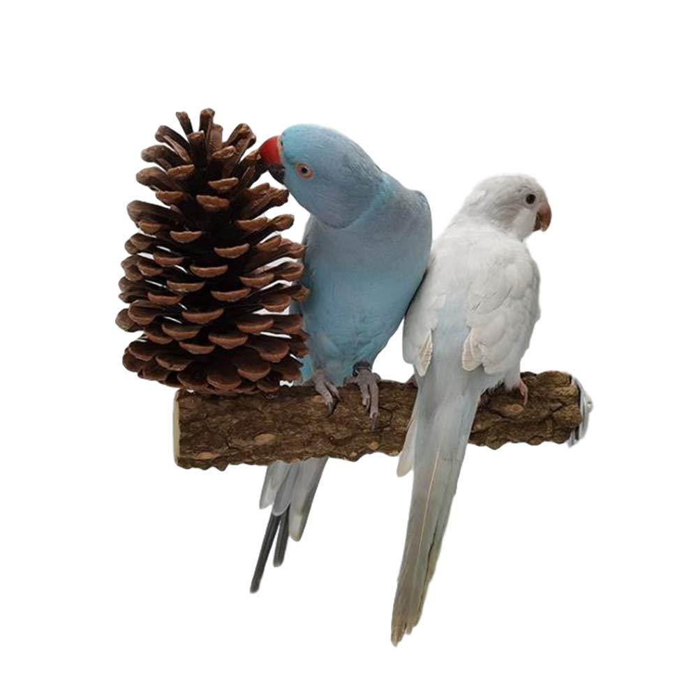 YANGWX 2PCS Natural Wood Bird Parrot Perch Stand Toys, Paw Grinding Stick Parrot Stand Wood Perches and Bird Parrot Chewing(Pine cones), Bird Stand Platform Toys for Small Parakeets, Finches, Budgie - PawsPlanet Australia