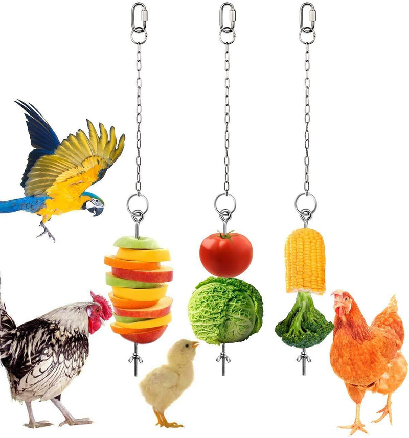 Chicken Veggies Skewer Fruit Food Holder Chicken Toys for Hens, 3 Pcs Pet Chicken Vegetable Hanging Feeder Toy, Stainless Steel Foraging Toy for Hens Large Birds Treat Skewer - PawsPlanet Australia