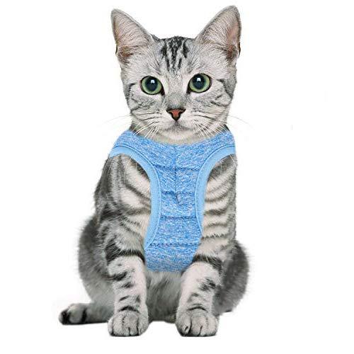 U/K Cat Harness and Leash Set for Walking Escape Proof Adjustable Soft Kitten Vest Comfortable Jacket for Puppies,Dogs,Rabbits with cationic Fabric Pet Soft Collar,Cat Harness and Lead Set (S, Grey) - PawsPlanet Australia
