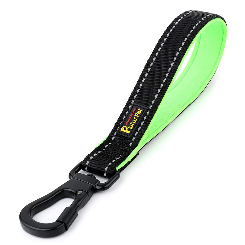 PLUTUS PET Strong Training Dog Lead with Rock Climing Carabiner Clip, Relective Nylon Dog leash Padded Handle, Training Lead for Large and Medium Dogs(25cm,Black) 25 cm (Pack of 1) Black - PawsPlanet Australia