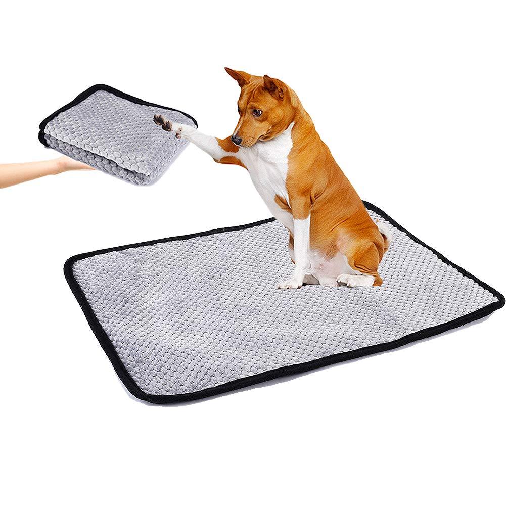 YANGWX Washable Puppy Training Pad Pet Mat, Reusable Pee Pad for Dogs, Anti-Slip Puppy Wee Whelping Pad for Travel, Dog Incontinence Pads for Indoor Outdoor Car(65x50cn,Gray) - PawsPlanet Australia