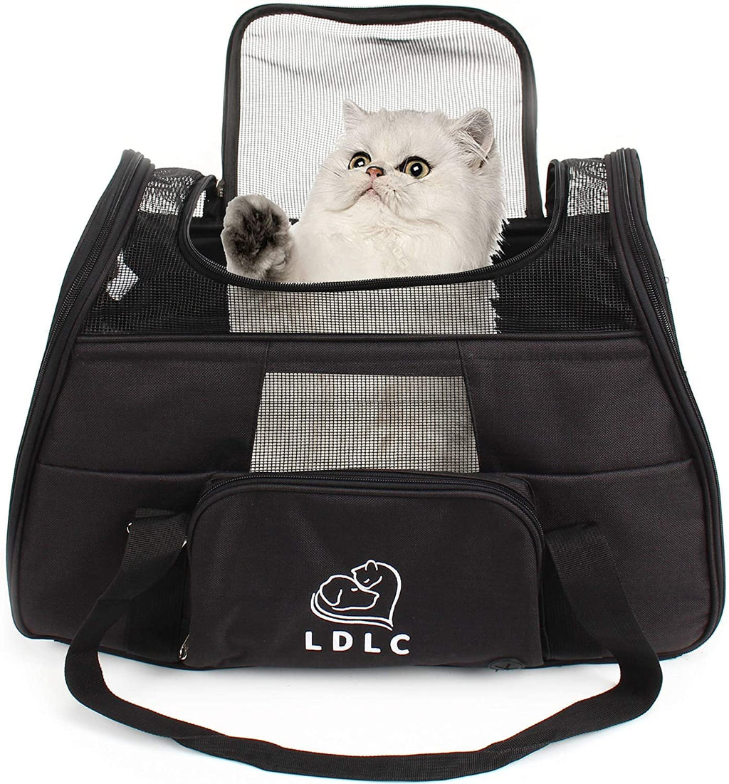 DAWOO Cat Carrier Airline-Approved Travel Pet Carrier,Dog Carrier,Suitable for Small and Medium-Sized Cats and Dogs Black - PawsPlanet Australia