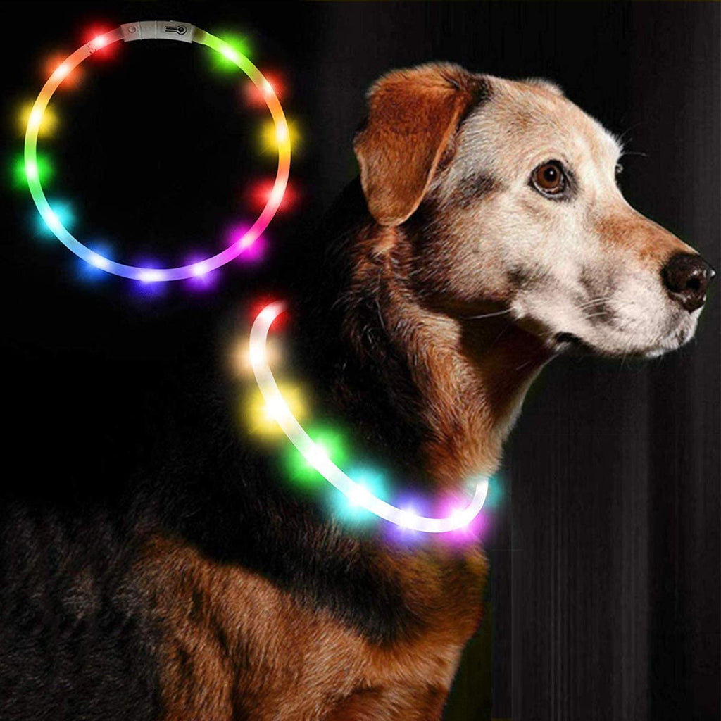 Ewolee Light Up Dog Collar, LED Dog Collar USB Rechargeable, 2 Light Modes Adjustable Size Flashing Dog Collar Improves Pet Visibility & Safety Fits For Small Medium Large Dogs Cats(Multicolor) Multicolor - PawsPlanet Australia