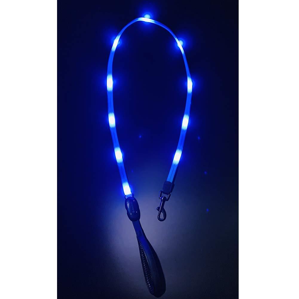 LED Dog Leash, USB Rechargeable Light Up Dog Lead, Water Resistant-Perfect for Night Walking (Leash 4 Ft, Blue) Leash 4 Ft - PawsPlanet Australia