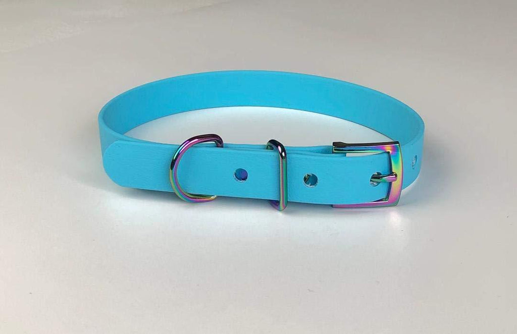 PALE BLUE BIOTHANE RAINBOW BUCKLE DOG COLLAR 13"-17" 33CM-43CM 19MM WIDE MEDIUM WATERPROOF HYPOALLERGENIC VEGAN DURABLE - PawsPlanet Australia