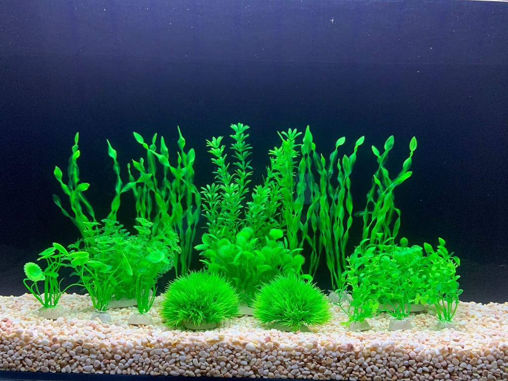 BEGONDIS 18 Pcs Artificial Green Water Plants, Fish Tank Aquarium Decorations, Made of Soft Plastic - PawsPlanet Australia