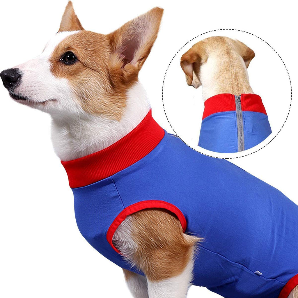 KADUNDI Dog Recovery Suit After Surgery,Pet Surgical Wear For Abdominal Wounds or Skin Diseases Prevent Licking Cone E-Collar Alternative,Bite Post-operative Clothing,XS XS Blue - PawsPlanet Australia