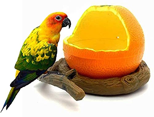 Kassbest Birds Feeder Bowl,Bird Food Feeding Bowl Feed Cup for Small Parrots Cockatiels Conure Hamster Small Animal Drinking Water Container for Birds Cage Accessories - PawsPlanet Australia