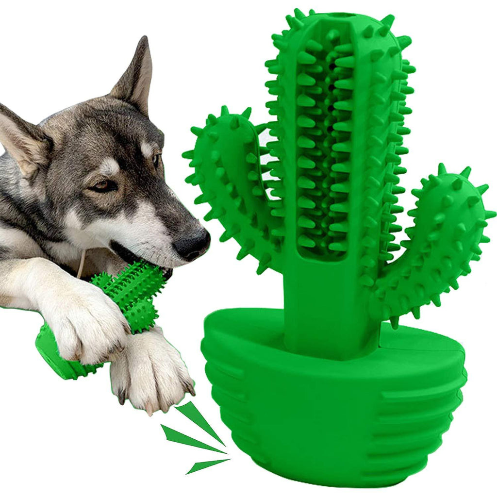 Dog Toothbrush Stick- Pets Dental Care Brushing Effective Nontoxic Natural Rubber Cactus Dog Chew Toys, Dog Dental Stick, Dog Tooth Cleaning Suitable for Medium and Large Dogs to Chew and Massage - PawsPlanet Australia