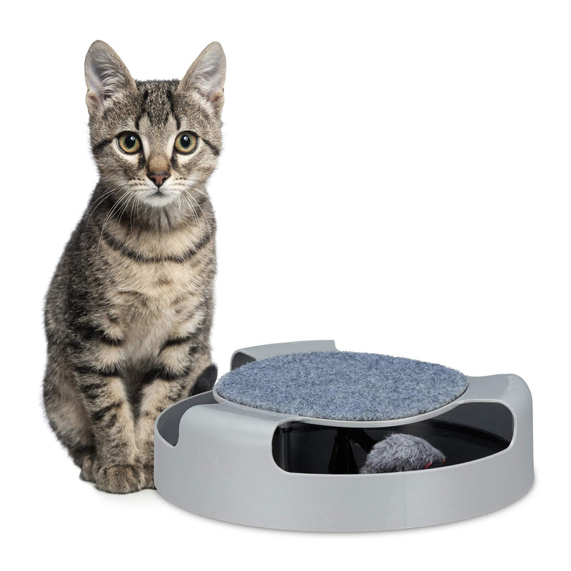 Relaxdays Cat Toy, Cat Train with Toy Mouse, Scratching Surface, Activity Interactive, HxD: 7 x 25.5 cm, Grey - PawsPlanet Australia