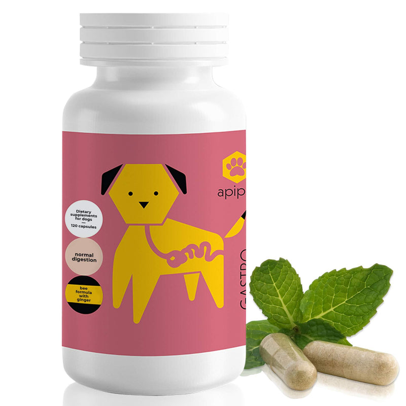 ApiPet Gastro - Digestive Health Support Formula for Dogs - Nutritional Pet Supplement with Bee Pollen, Propolis & Ginger - Helps Eliminate Bad Breath & Promotes Better Digestion - 120 Capsules - PawsPlanet Australia