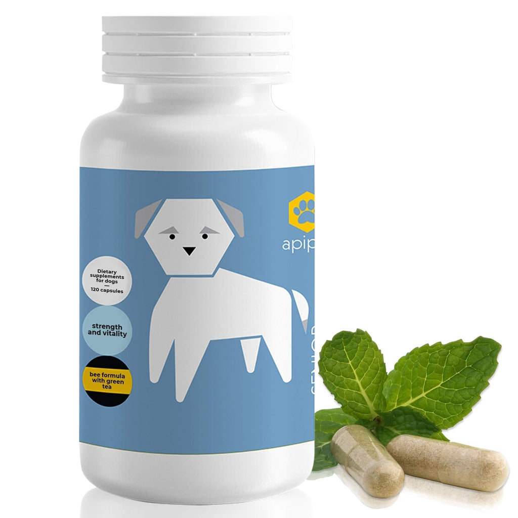 ApiPet Senior Pet Dietary Supplement - Natural Formula for Older Dogs - Green Tea, Bee Pollen, Ginger, Propolis - May Help Support Immune & Digestive Function - Anti-Aging & Calming - 120 capsules - PawsPlanet Australia