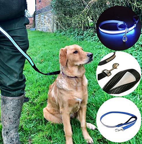 BAR LED Dog Lead/Leash - Rechargeable - 2 Colour Options Blue LED With Blue Harness - PawsPlanet Australia