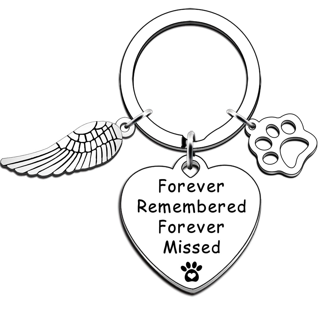 JMIMO Pet Dog Memorial Keyring Forever Remembered Forever Missed Loss of Pet Paw Memorial Keychain Pet Sympathy Gift - PawsPlanet Australia