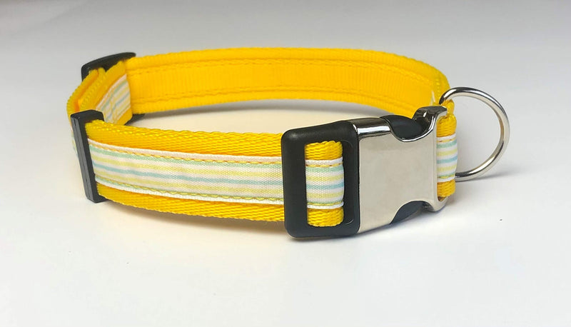 KLASSY K9 DOG COLLAR YELLOW WEBBING WITH STRIPE DESIGN LARGE 1" WIDE - PawsPlanet Australia