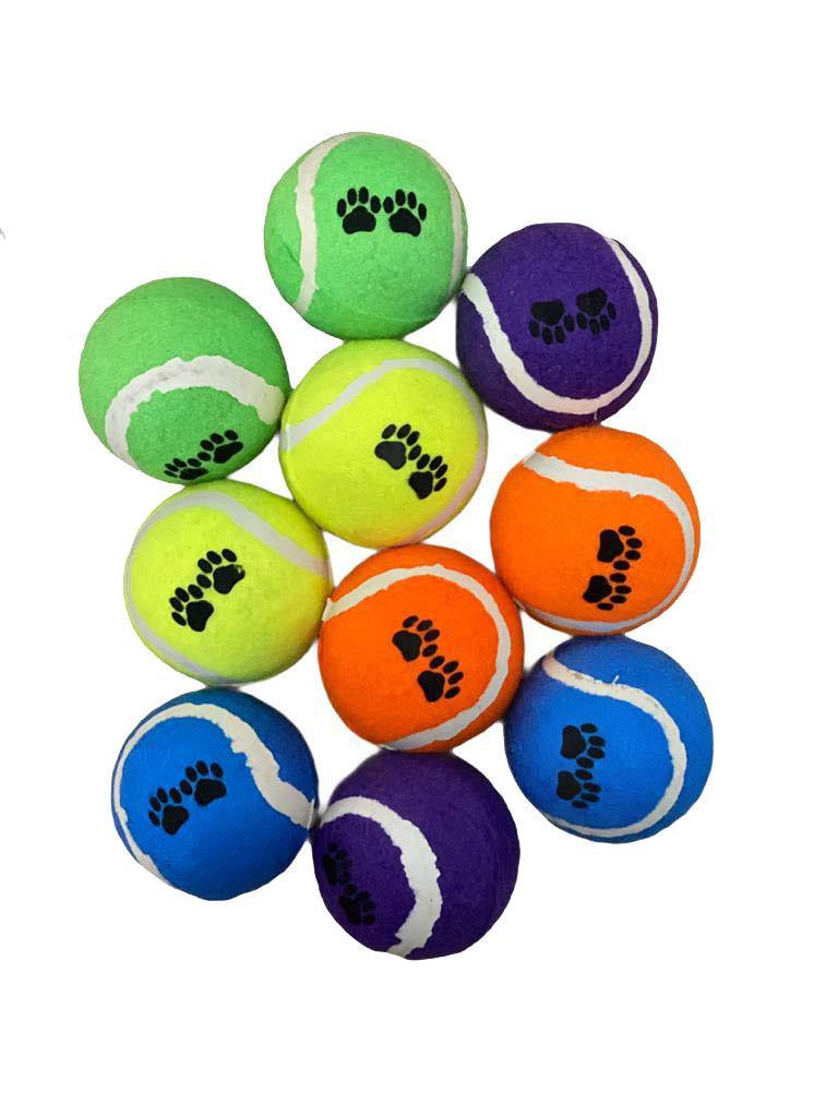 Pet Living Dog Play Balls Doggy Puppy Pack of 10 Tennis Play Exercise Training Balls For All Dogs (Pack of 10 Balls) Pack of 10 Balls - PawsPlanet Australia