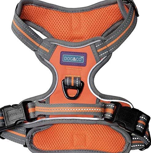 Dog & Co Sports Harness, Padded and Reflective, Orange Large - PawsPlanet Australia