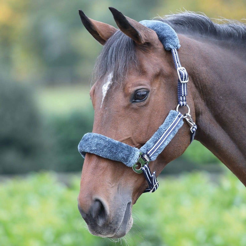 Shires Stripe Pony/Horse Headcollar - Navy Blue Full - PawsPlanet Australia