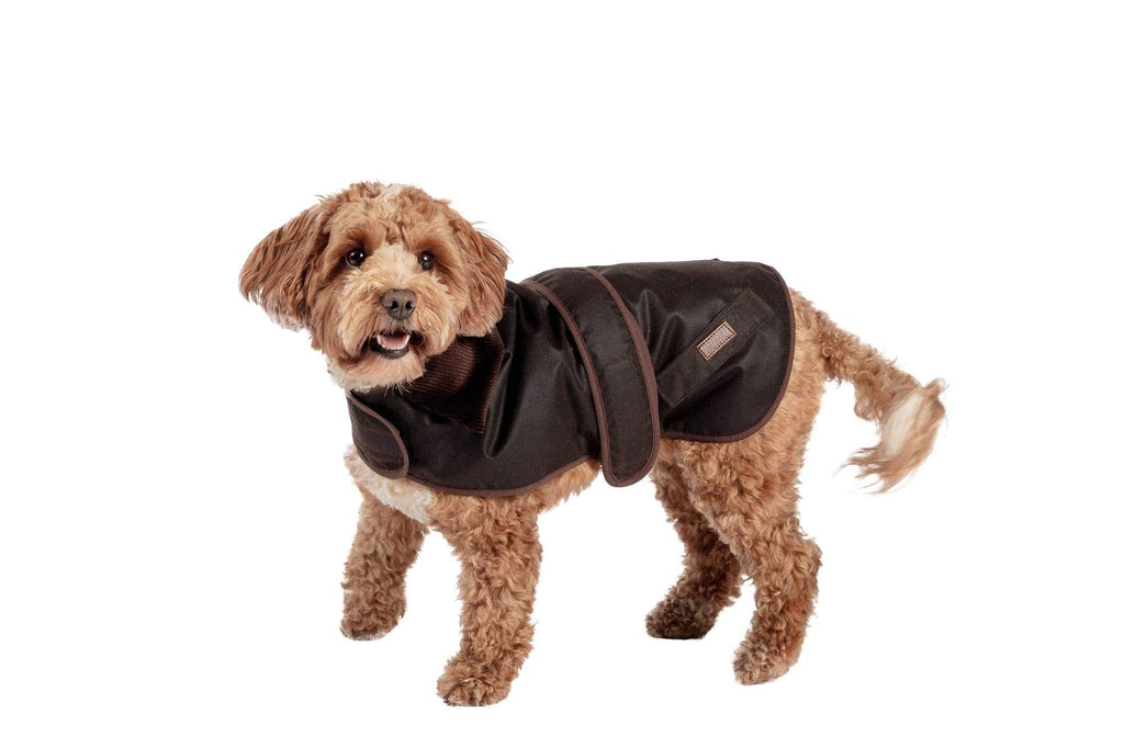 FatFace Sussex Wax Dog Coat 55cm 55in - PawsPlanet Australia