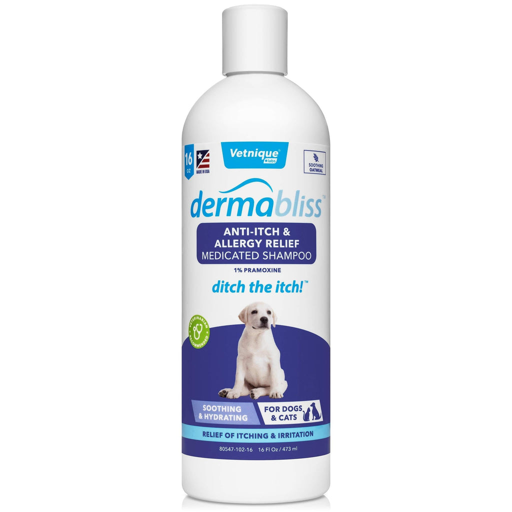 Vetnique Labs Dermabliss Anti Itch & Allergy Relief Medicated Dog Shampoo for Allergies and Itching with 1% Pramoxine HCL, Safflower Seed Oil, and Oat Extract for Dogs and Cats 16oz … - PawsPlanet Australia