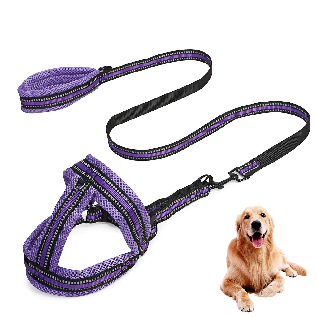 Jiu du Soft Mesh Padded Dog Harness, Reflective No Pull Puppy Harnesses Vest with Leash, Escapeproof Adjustable Breathable Pet Lead Set for Small Medium Large Dogs, Puple M Purple - PawsPlanet Australia