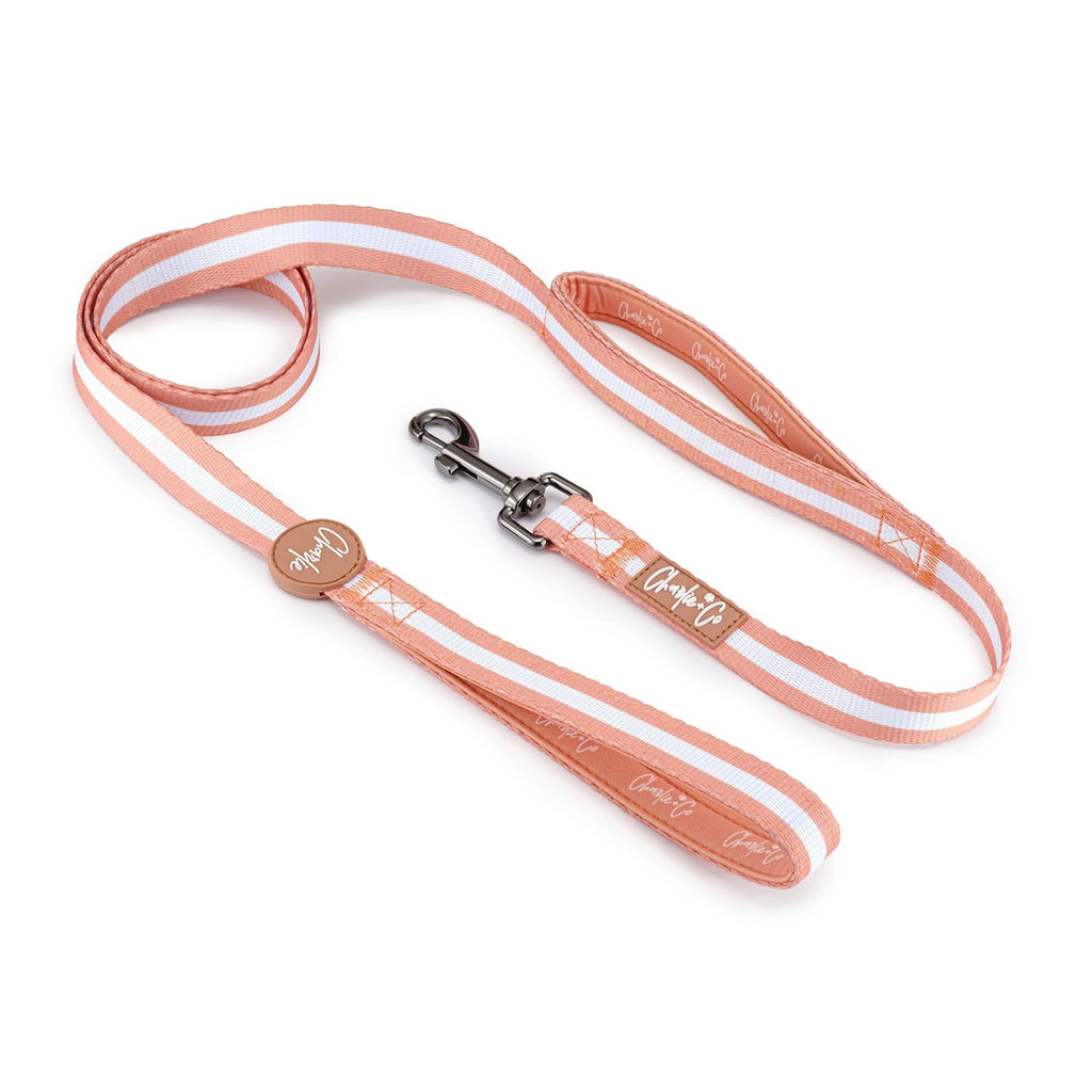 Charlie + Co Dog Lead with Comfortable Padded Neoprene Handles and Close Control Traffic Grip (5 FT / 150 cm) (Life's a Peach) Life's a Peach - PawsPlanet Australia