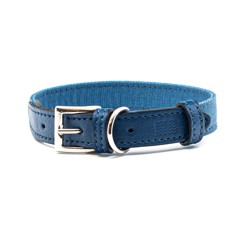 Project Blu Eco Friendly E-Leather Dog Collar, Sustainable and Recycled Pet Collar (Small, Monterey) Small - PawsPlanet Australia