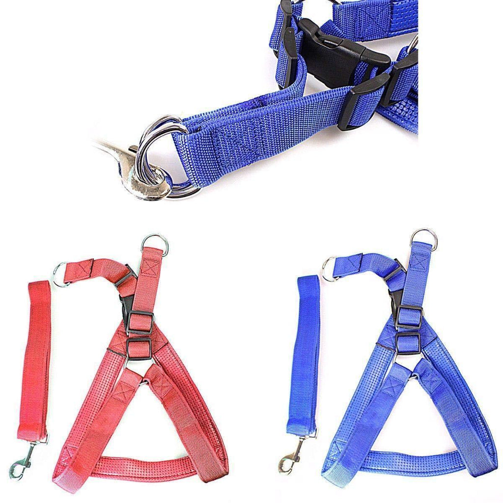 J Jaksons Heavy Duty Dog Big Nylon Belt Harness Attached No Choking Blue and Red Pet - PawsPlanet Australia