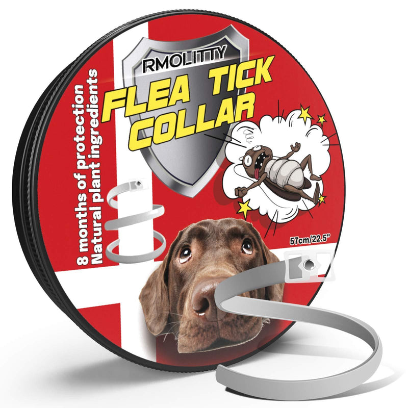 Rmolitty Flea Tick Collar for Dog, Natural Extract Oil Anti Flea Tick Collar 8 Months Protection for Small Medium Large Dogs (1 pack) 1 pack - PawsPlanet Australia