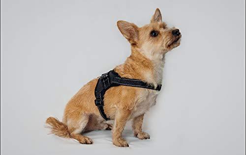 Minana No Pull Pet Dog Body Lift Harness (Small, Black) Small - PawsPlanet Australia