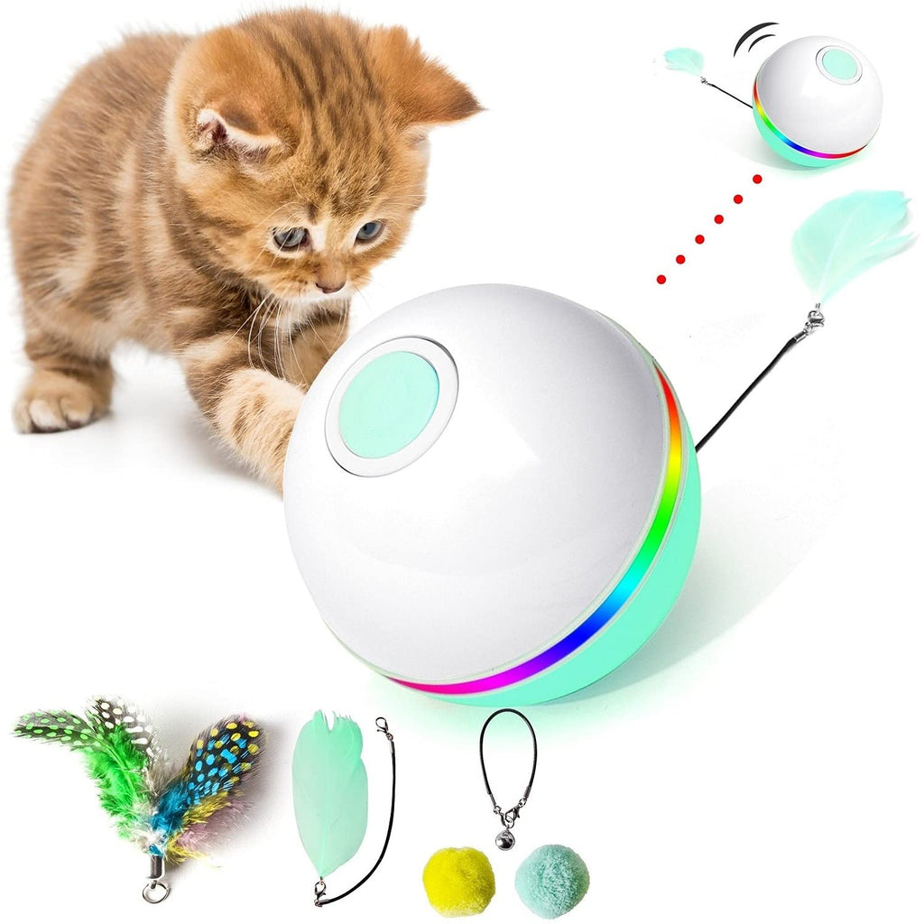 Fairwin Cat Toys for Indoor Cats, Interactive Cat Toy Ball with LED Light and Catnip Toys for Cats Kitten Funny Chaser Roller Auto 360 Degree Self-Rotating & USB Rechargeable GreenWhite - PawsPlanet Australia