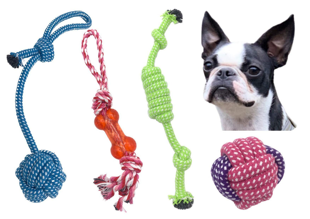 Puppy Dog Rope Toys by the Dogs DangLeads. Puppy Play Dog Rope Toys, Set of 4 Chew Toys & Bone. Washable & Made From 100% Hygienic Cotton for Puppies & Small to Medium Sized Dogs. - PawsPlanet Australia
