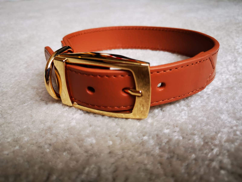 Luxury brown leather dog collar with gold buckle (Medium 46cm) Medium 46cm - PawsPlanet Australia