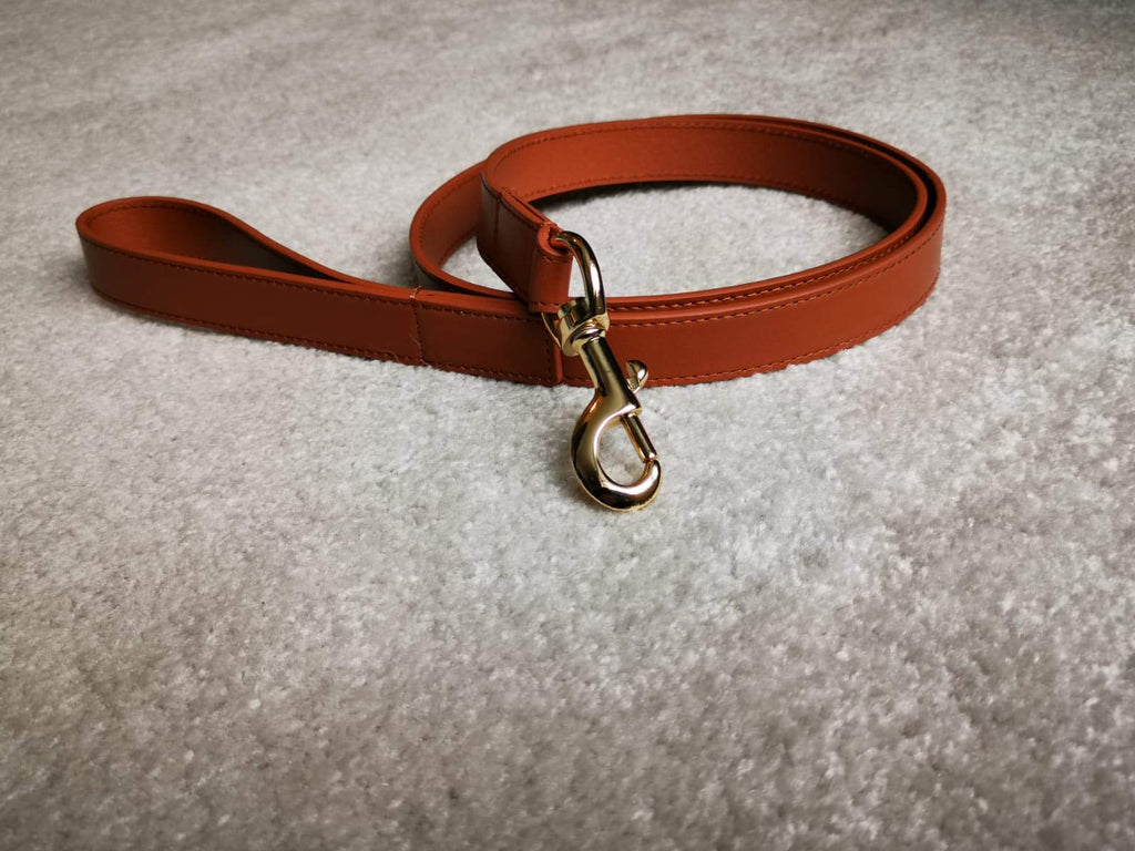 Luxury brown Leather Dog Lead, Dog Leash 120cm - PawsPlanet Australia