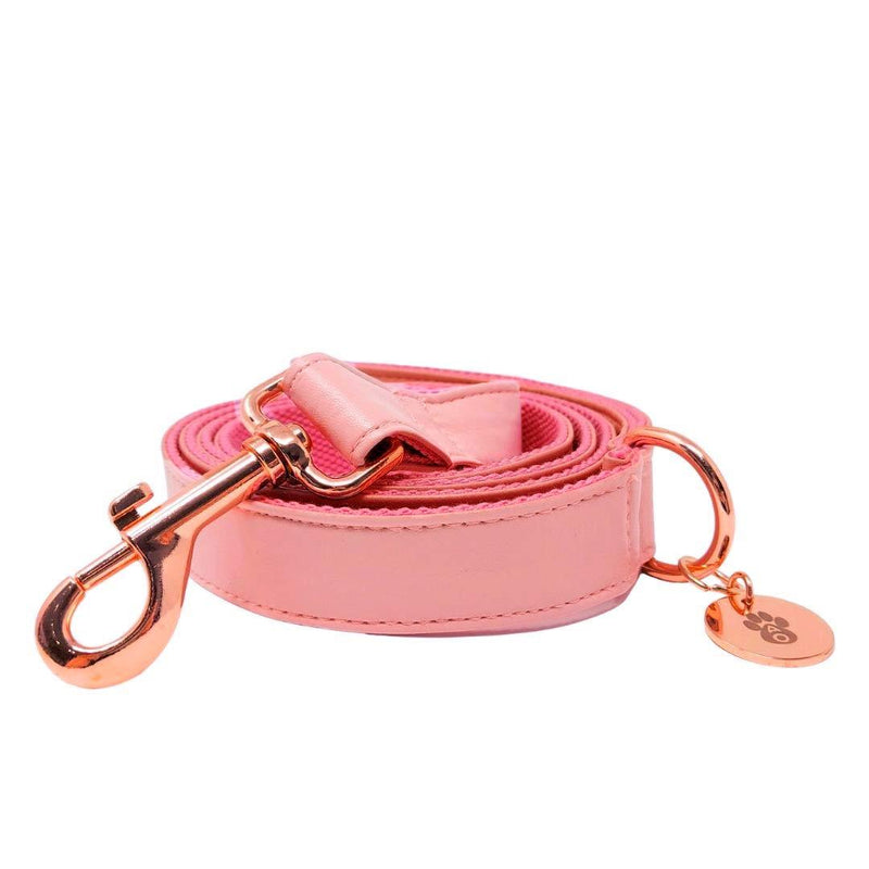 Animal Outfitters UK Rose Gold Candy Collection Vegan | Faux Leather Dog | Puppy Lead | Strong and Comfortable for Small or Large Dogs - PawsPlanet Australia