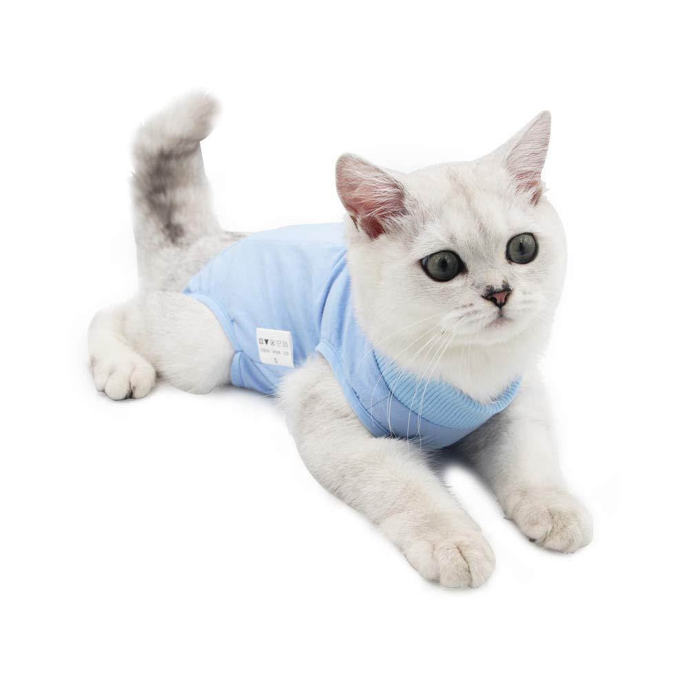 BIGNADO Cat Recovery Suit After Surgery Anti Licking Wounds Breathable and Tight Fit Elastic Recovery Suit Cat Easy on and Off Female Cat Weaning Surgery Clothes M Blue - PawsPlanet Australia