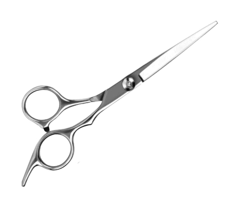 Professional Non-Professional Hair Scissors Cutting Thinning Shears Stainless Steel Salon Barber Pet Dog Cat Hairdressing| Grooming Styling Pet Supplies (Professional Cutting Scissors) Professional Cutting Scissors - PawsPlanet Australia