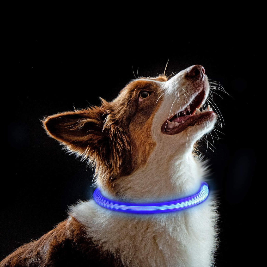 GOTH Perhk Light up LED Dog Collar, Ultra Bright USB Rechargeable LED Dog Collar Lights for Dogs & Cat(Blue) - PawsPlanet Australia