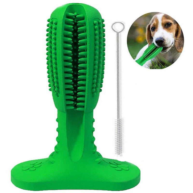 Dog Chew Toothbrush, Dog Teeth Cleaning Toy Natural Rubber Dental Care Cleaning Stick for Medium Large Dog Pets-Green Large - PawsPlanet Australia