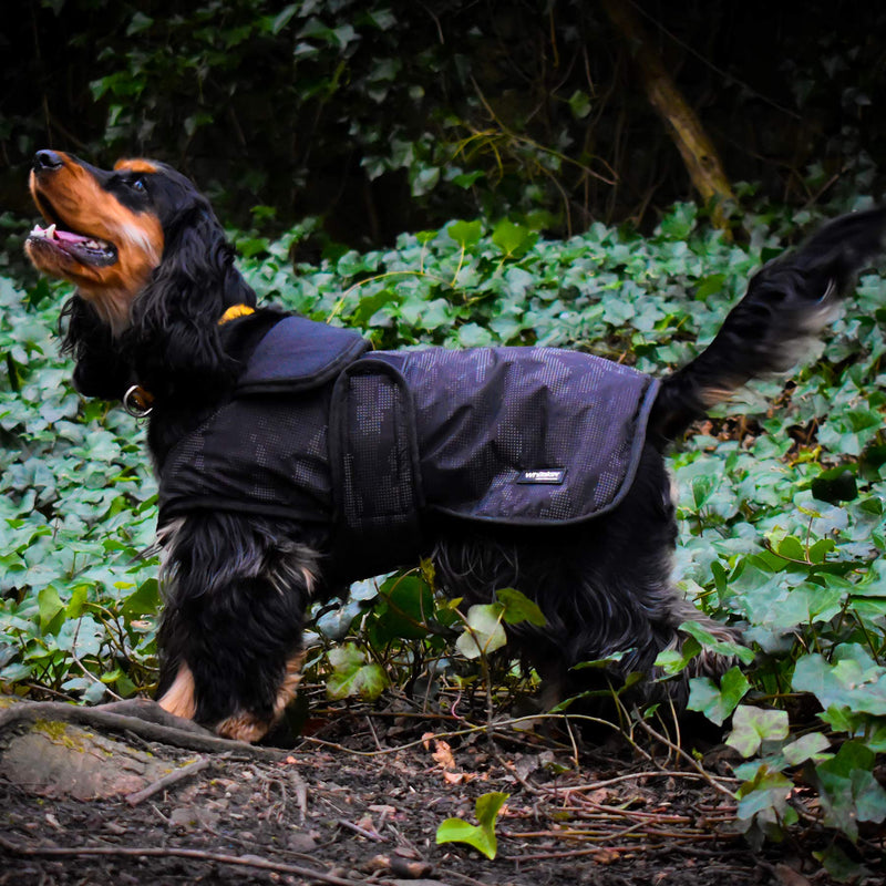 John Whitaker Reflective Dog Coat padded with a water resistant outer camouflage print which reflects light perfect for cold low light conditions (Small) S - PawsPlanet Australia