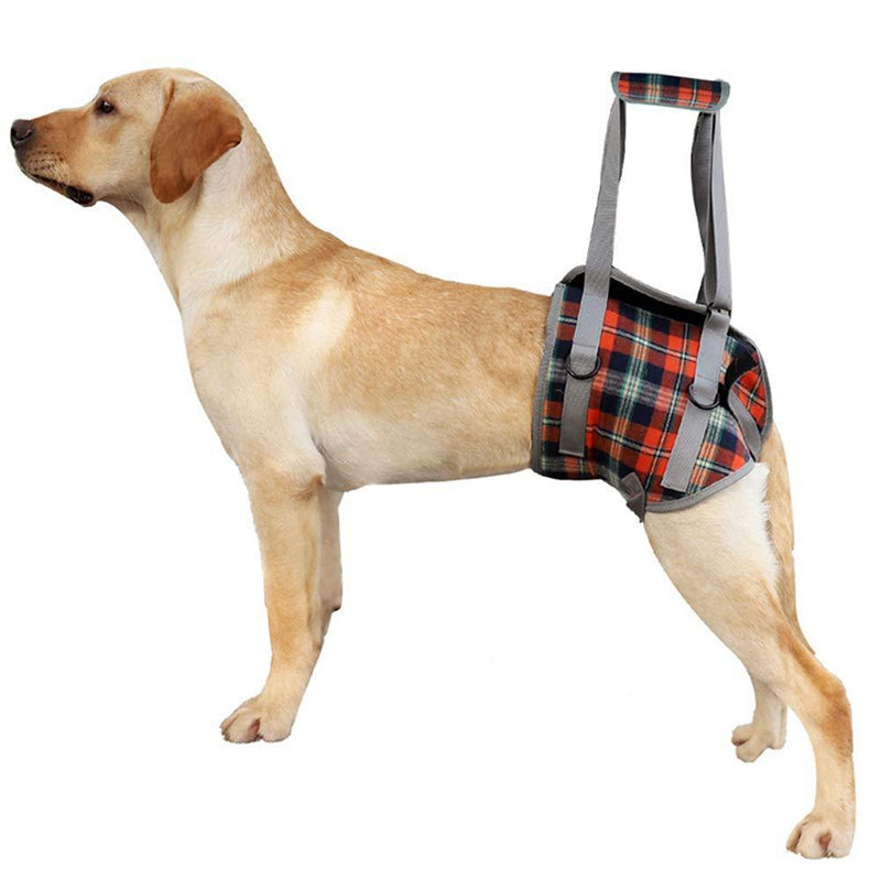 BIGNADO Dog Lifting Harness Hind Legs Support Dog Portable Recovery Walking Training Lift Support Strap with Handle for Old Injured Amputation Medium Big Dogs(Red, L) Large Red - PawsPlanet Australia