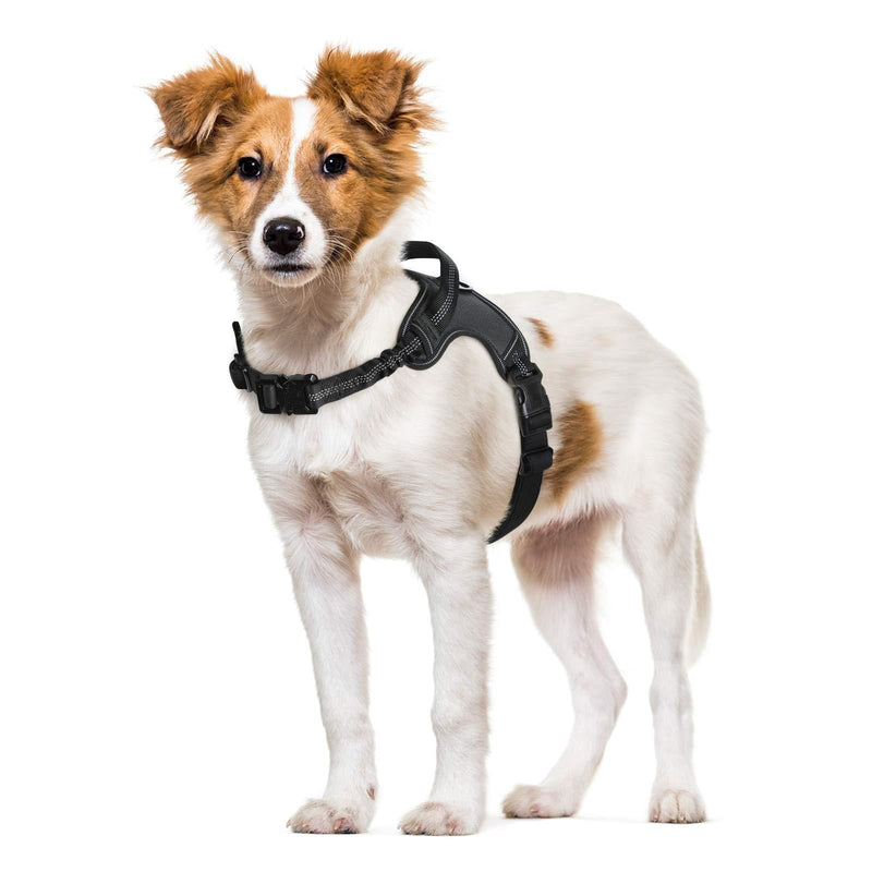 rabbitgoo Dog Harness, Adjustable Dog Walking Harness with Handle and Shock-Absorbing Bungee Straps, Reflective Dog Vest Harness No Choke, Halter Harness with Padded Strap for Medium Dogs (Black,M) M Black - PawsPlanet Australia