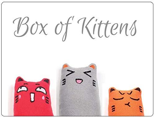 Box of Kittens Catnip Toy - Orange, Red and Grey - PawsPlanet Australia