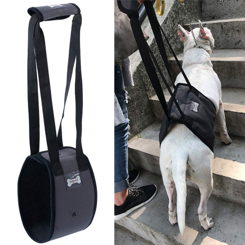 XYDZ Dog Lift Harness - Support Sling Helps Dogs With Weak Front or Rear Legs Stand Up, for Older or Sick Pets Getting In and Out of Stairs and Out of Cars - PawsPlanet Australia