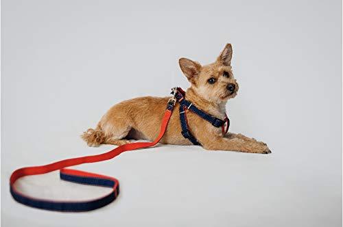 Heavy Duty new coming Dog Harnesses and Leashes Double layers Fabric Sewing (m) m - PawsPlanet Australia