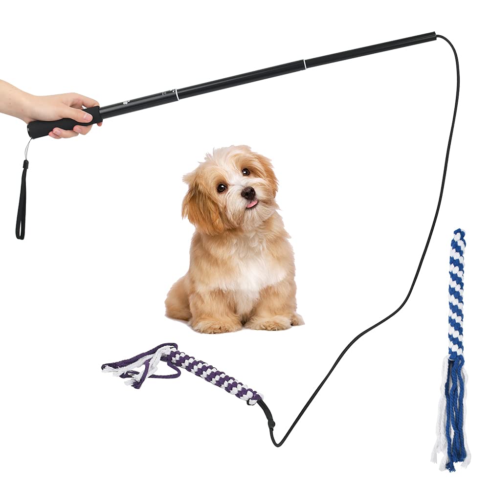 Flirt Pole Rope Tug Dog Toy Extendable Puppy Flirt Pole, Outdoor Interective Pet Toy Training Stick Chase Toys with 2 Tease Chew Toys Rope for Pulling, Chasing, Chewing, Training, Exercising - PawsPlanet Australia