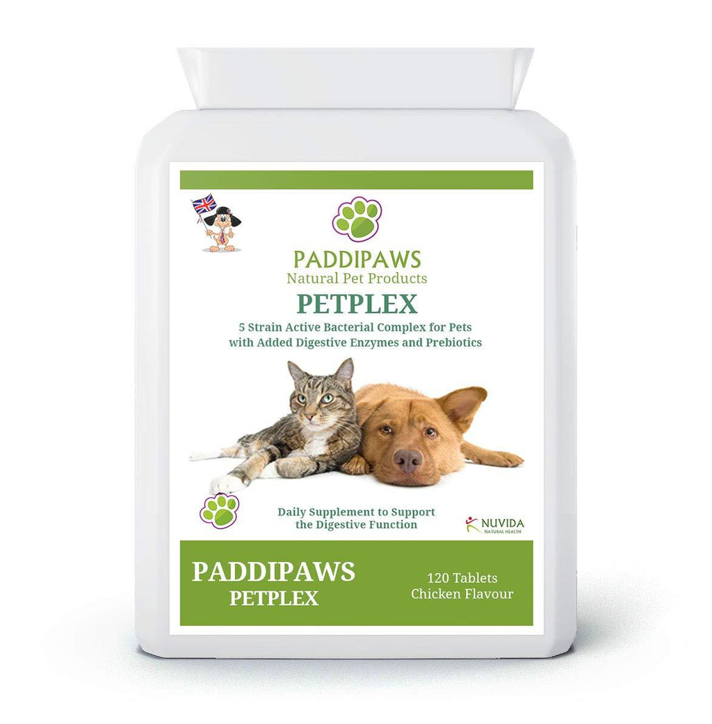 PADDIPAWS Petplex Active Bacteria supplement with added Digestive Enzymes and Prebiotics to provide the ultimate digestive aid and healthy gut bacteria Probiotic Supplement for Dogs and Cats - PawsPlanet Australia