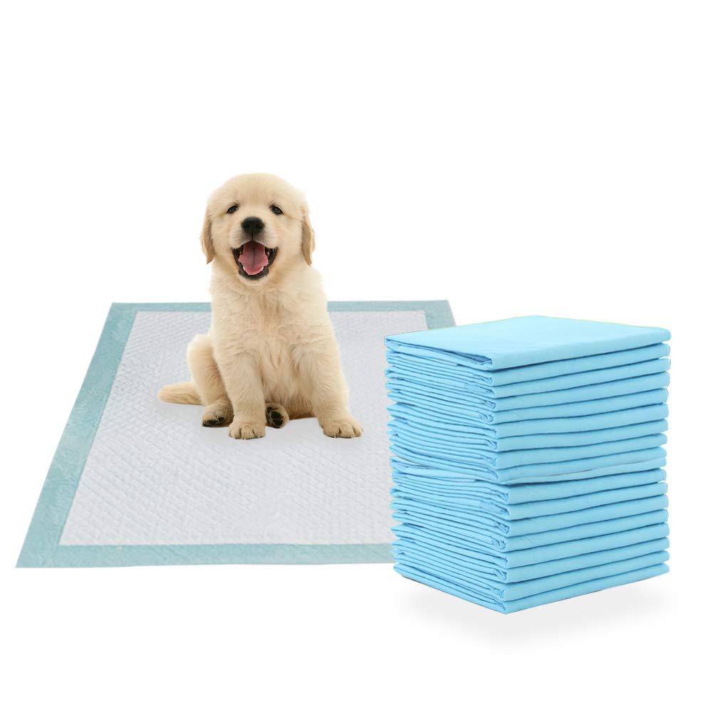 MICOOYO Ultra Absorbent Dog and Puppy Training Pads Pet Toilet Pee Mat (60 * 60cm-40pcs) 60*60cm-40pcs - PawsPlanet Australia
