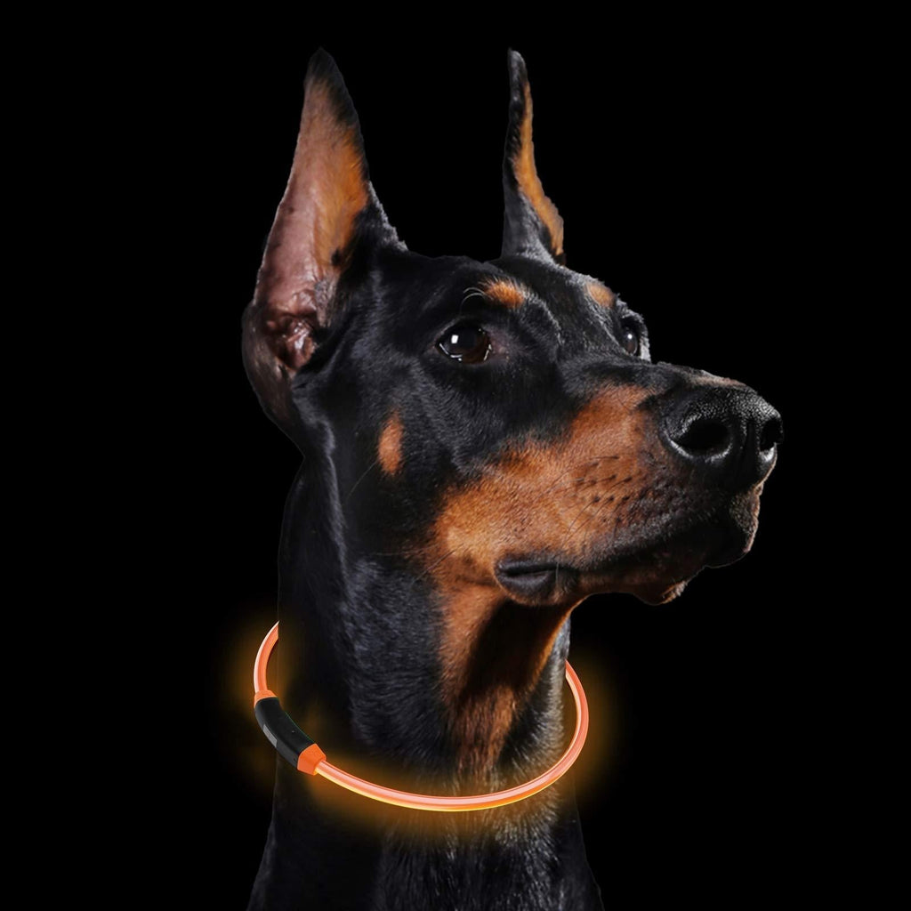 GeeRic LED Dog Collar, USB Rechargeable, Glowing Pet Dog Collar for Night Safety, Fashion Light up Collar for Small Medium Large Dogs Neon Orange - PawsPlanet Australia