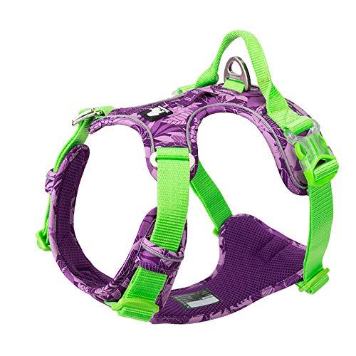 Dog Harness No Pull Walking Pet Harness Reflective Front clip Dog Vest Adjustable No-Choke Pet Oxford Vest Outdoor Dog Training Chest Strap For Small to Large dogs XS (33-43CM/13-17in) Purple Green - PawsPlanet Australia